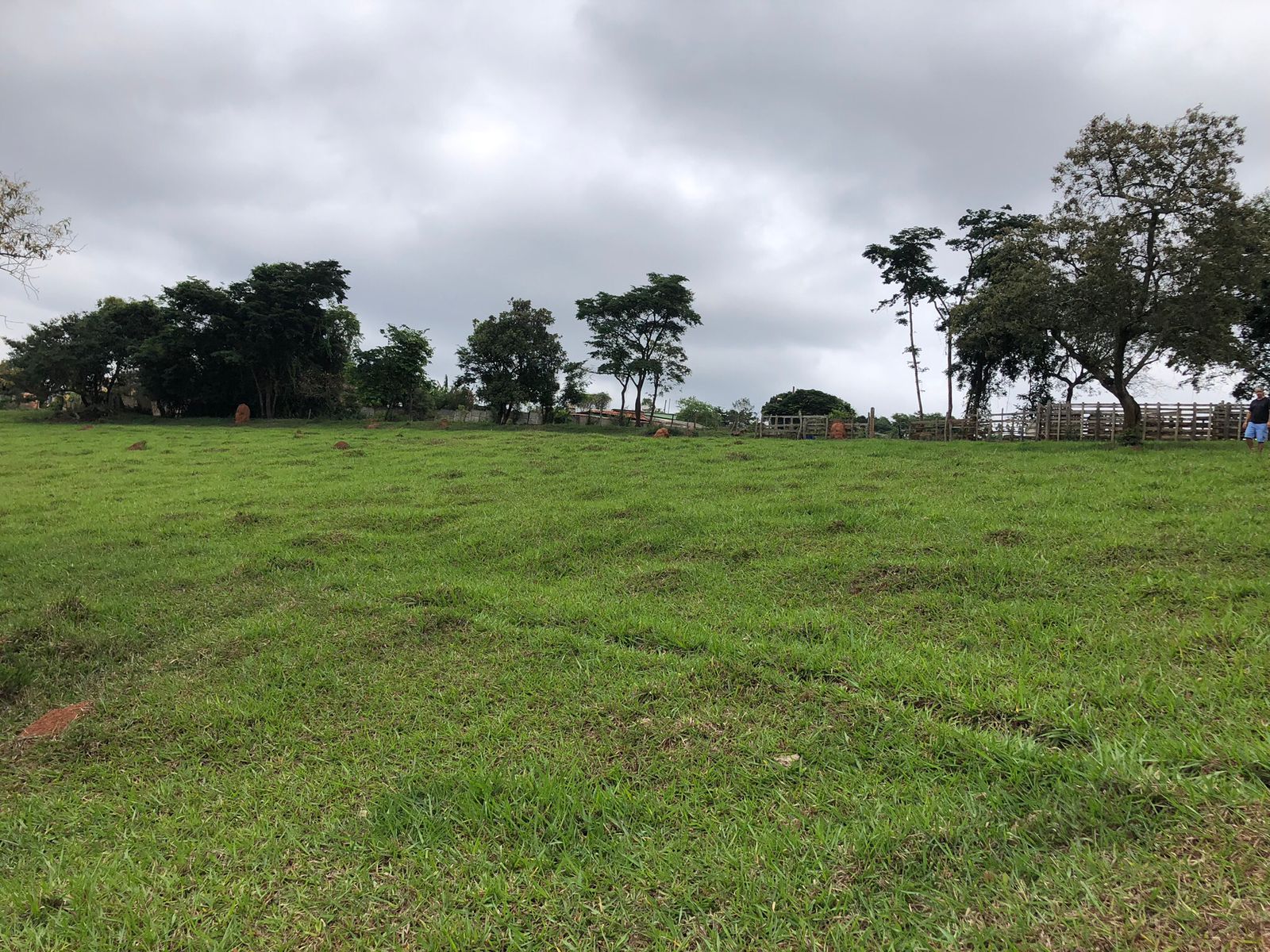 Câmara aprova novo loteamento próximo ao Bairro Sassafrás