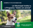 Lei Municipal estimula adoção animal responsável pelos cidadãos